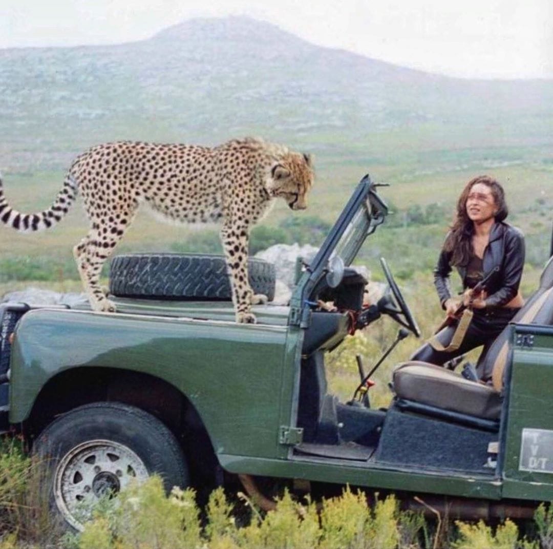 Karishma Kapoor shares her throwback photo with cheetah
