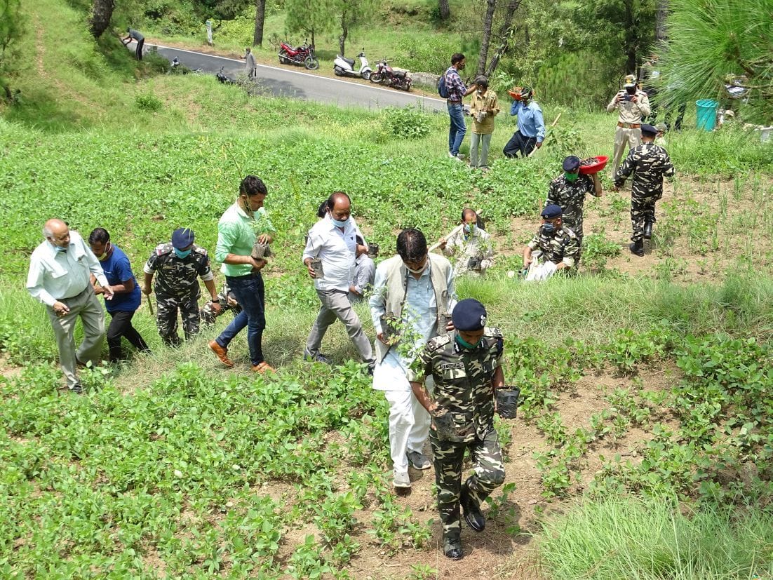 Plantation in ranikhet