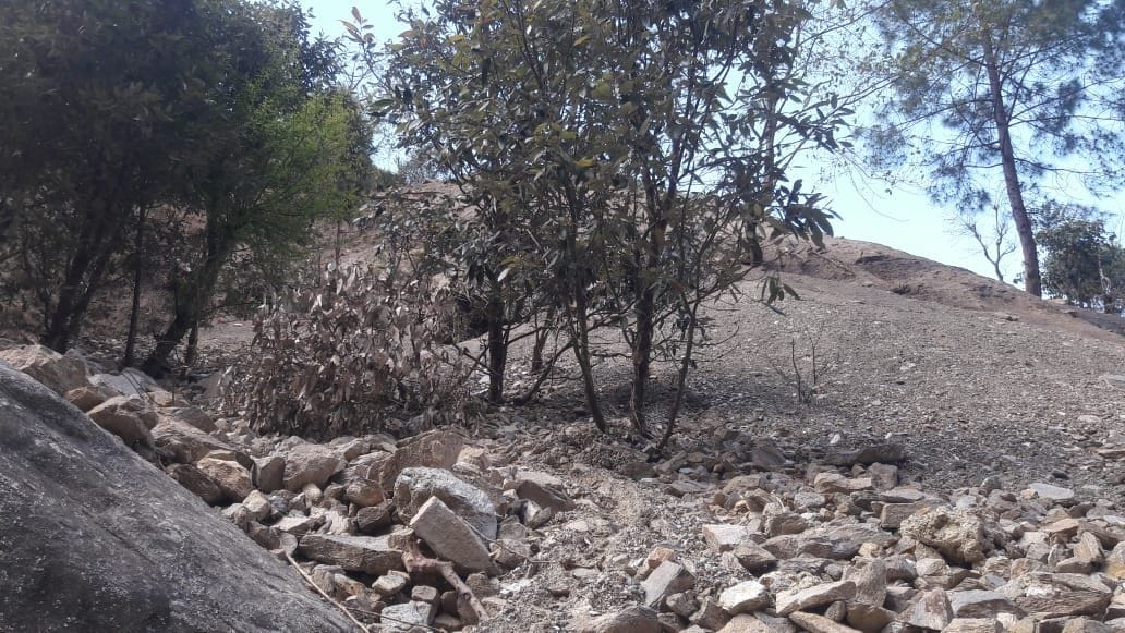 Road debris dumped in fields