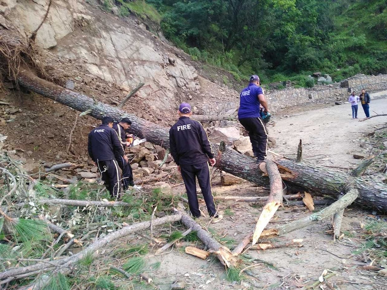 National highway remained closed for two hours due to tree fall