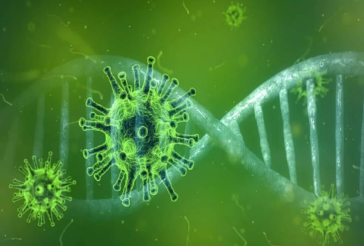 Coronavirus vaccine updates Bharat Biotech licensing deal with Washington University School of Medicine for Covid 19 intranasal vaccine