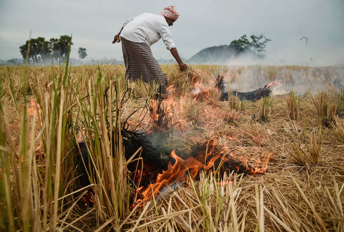 NASA report reveals, 51 percent of the worlds population affected by air pollution, know why