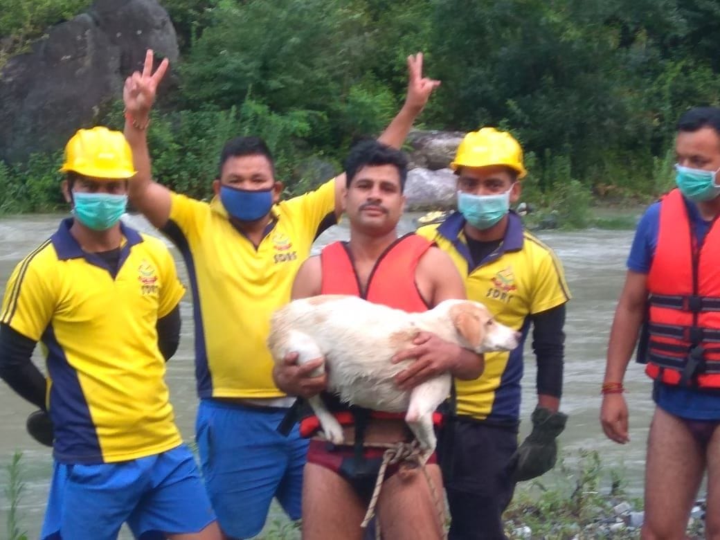 Rescue dog trapped in Shipra River for 12 hours