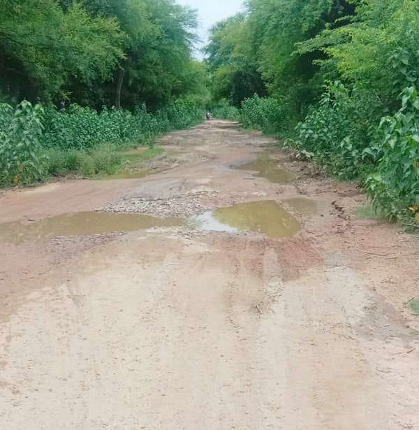 Eight kilometer road missing on Seodhi-Salaiya road