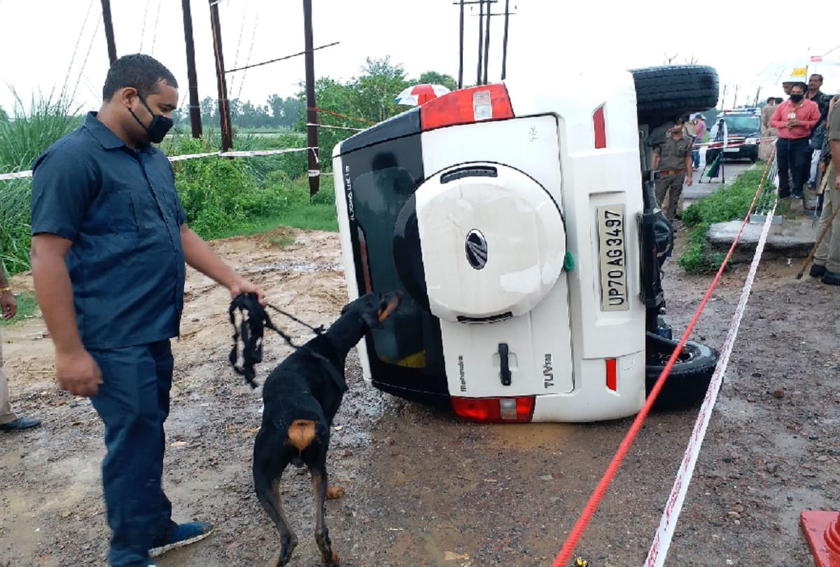 STF Story said car was overturned due to cattle herd