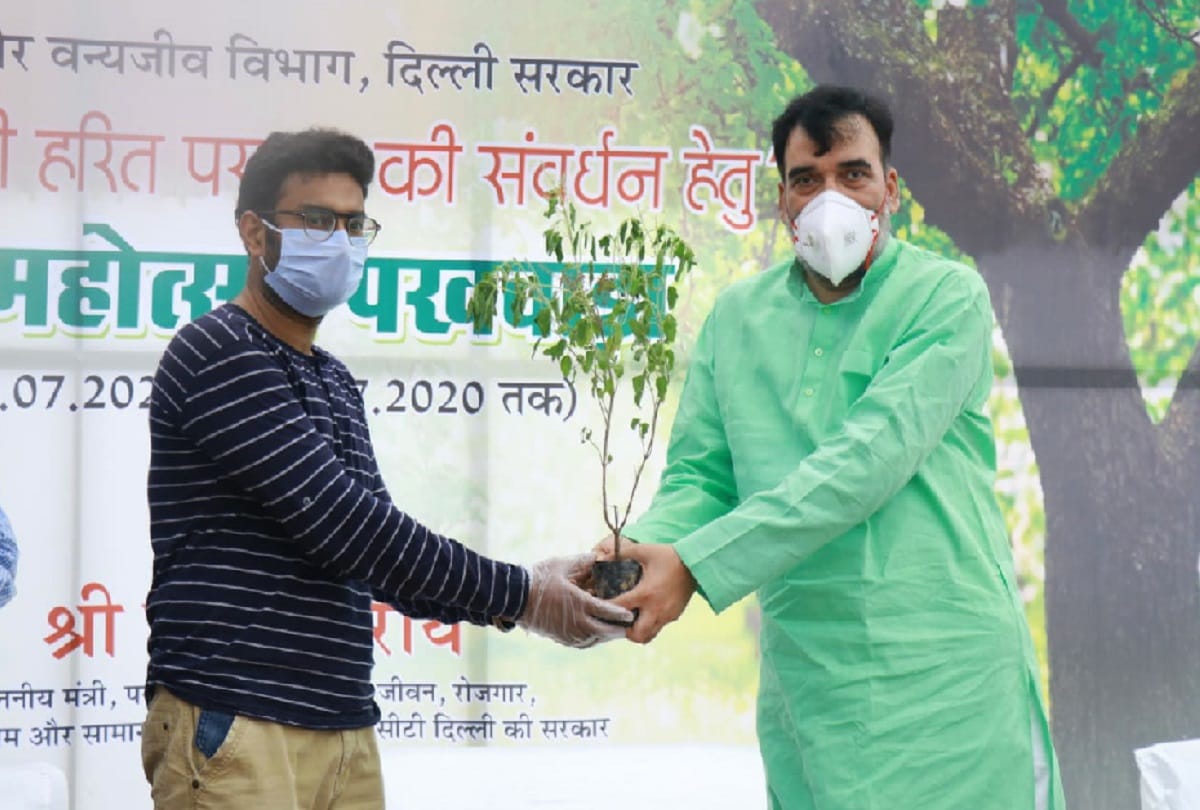 Delhi government to plant 31 lakh saplings in the capital