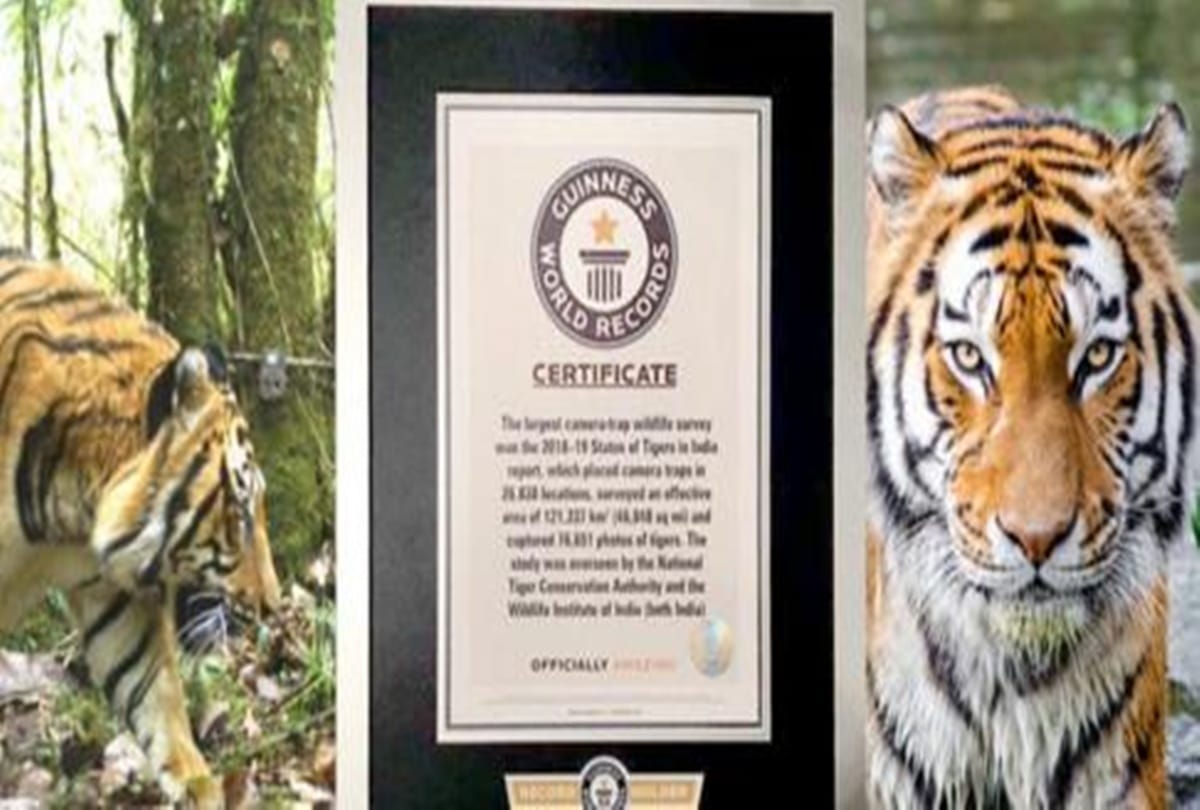 All India Tiger Estimation's camera trap created Guinness World Record in India; more than 30 million photos taken