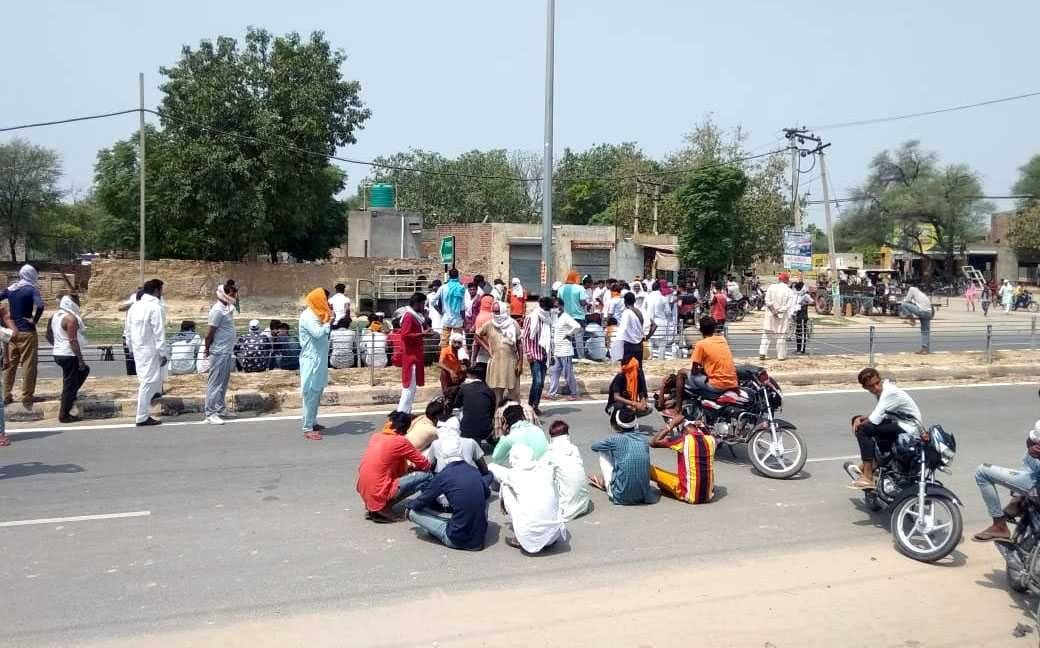 Carcass jammed on road