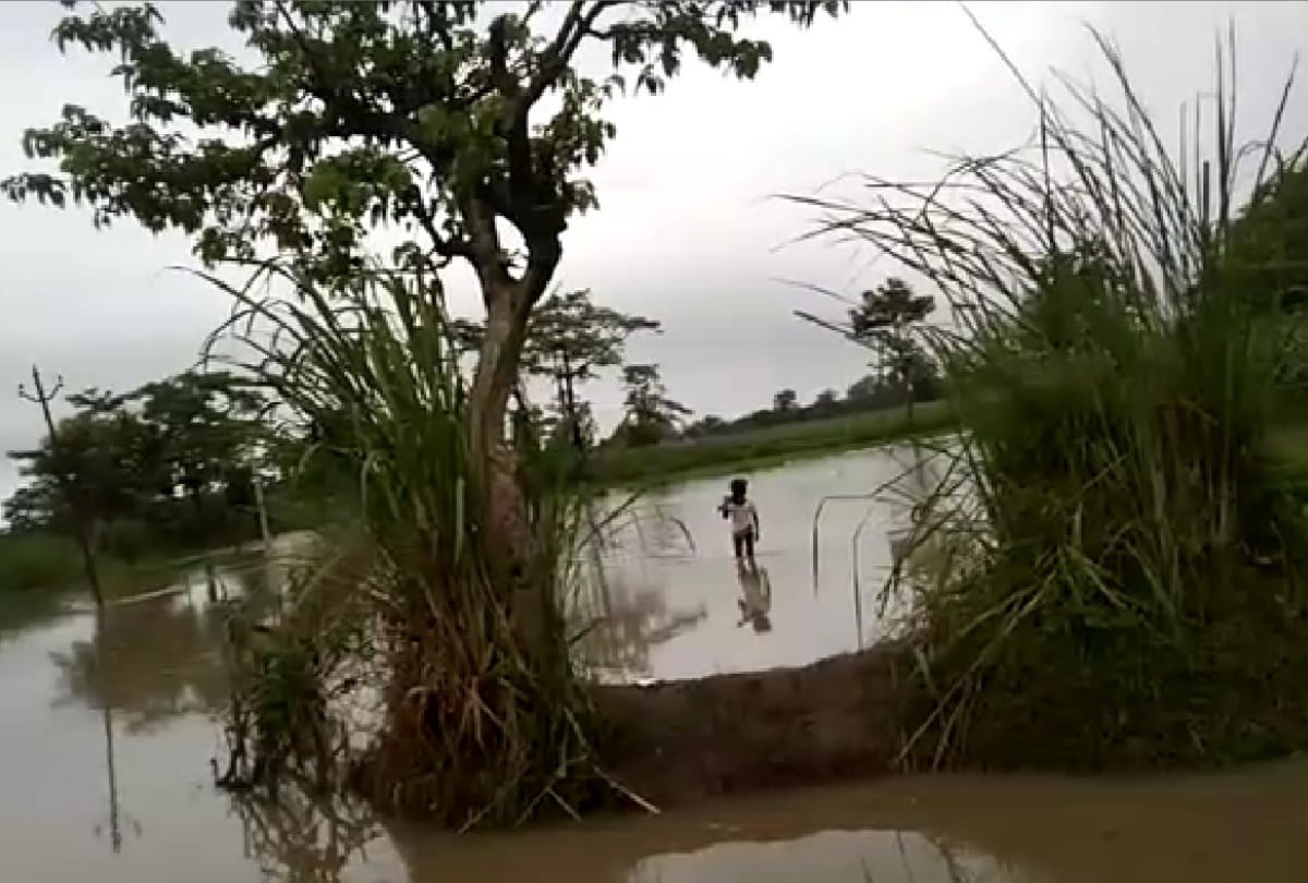 Flood news: Gandak river water level increased in Kushinagar, Flood water enters villages