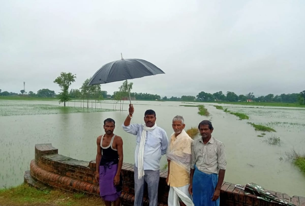 Gorakhpur Flood news: rapti and saryu river across danger mark,  villages of flood water in gorakhpur