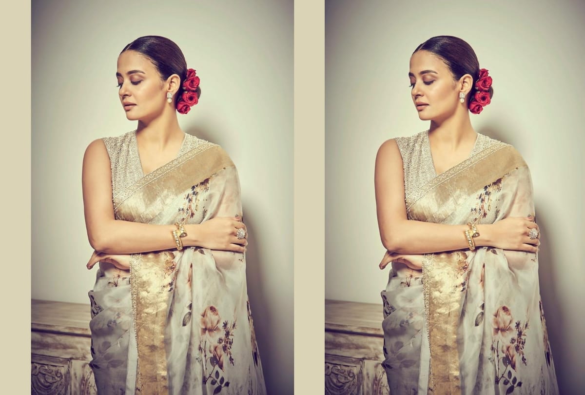 surveen chawla desi look in saritorial saree look amazing