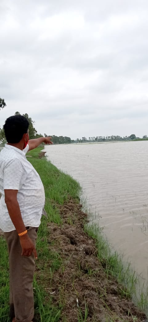 Chaotic elements tied the Lassa escape tail drain, crops submerged