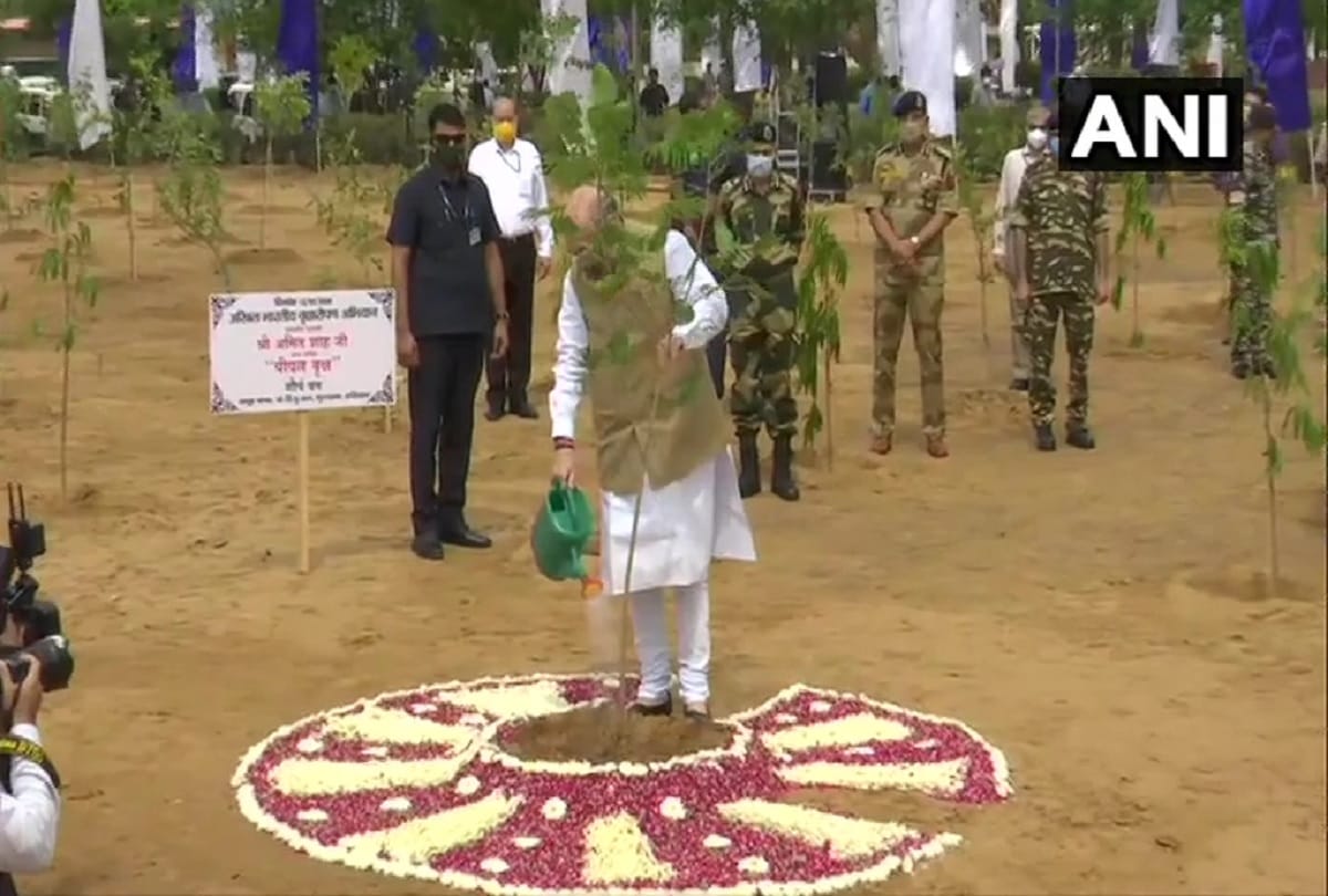 HM Amit Shah participates in All India Tree Plantation Campaign run by the CAPF
