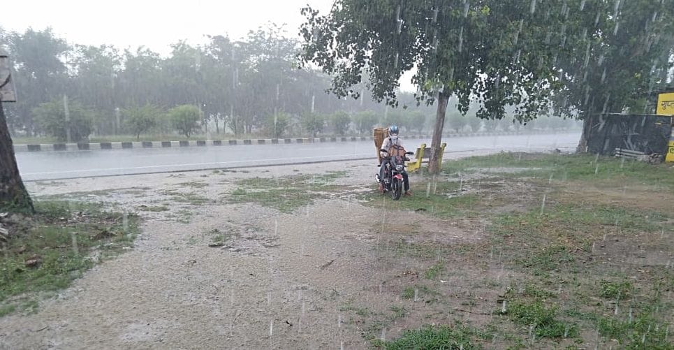 farmes seen happy after good rain, the weather also chill