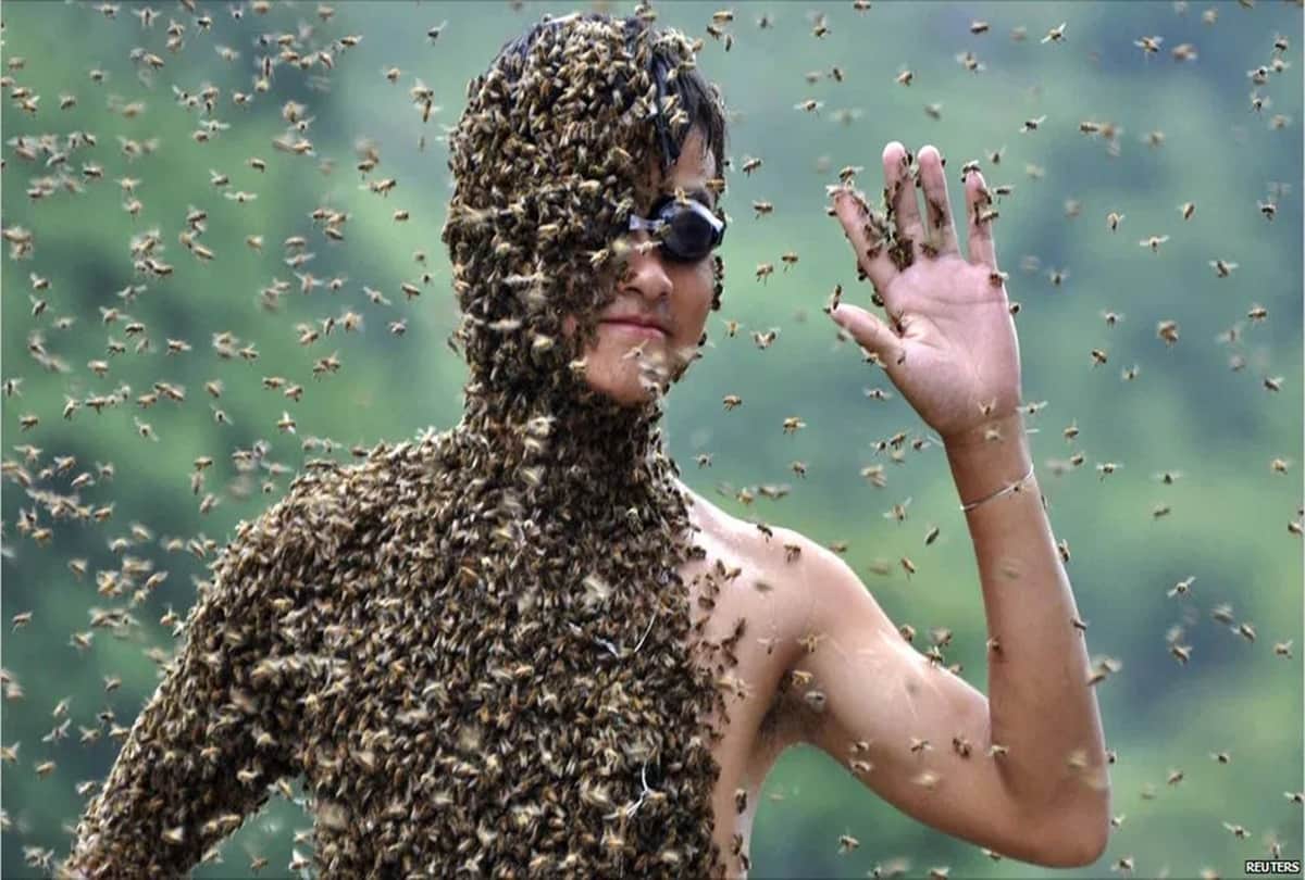 Competitive bee wearing: Wildest Competitions of china