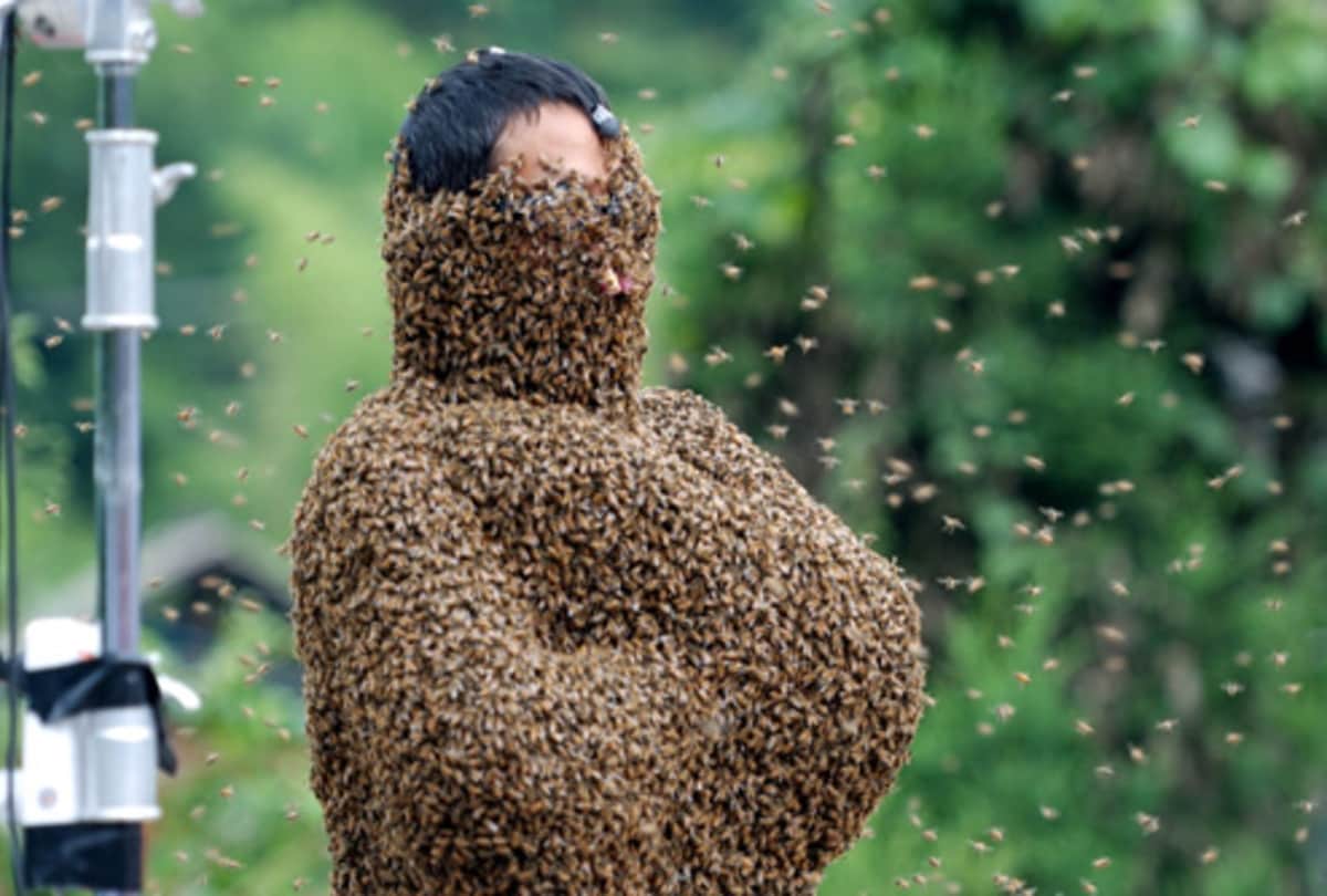 Competitive bee wearing: Wildest Competitions of china