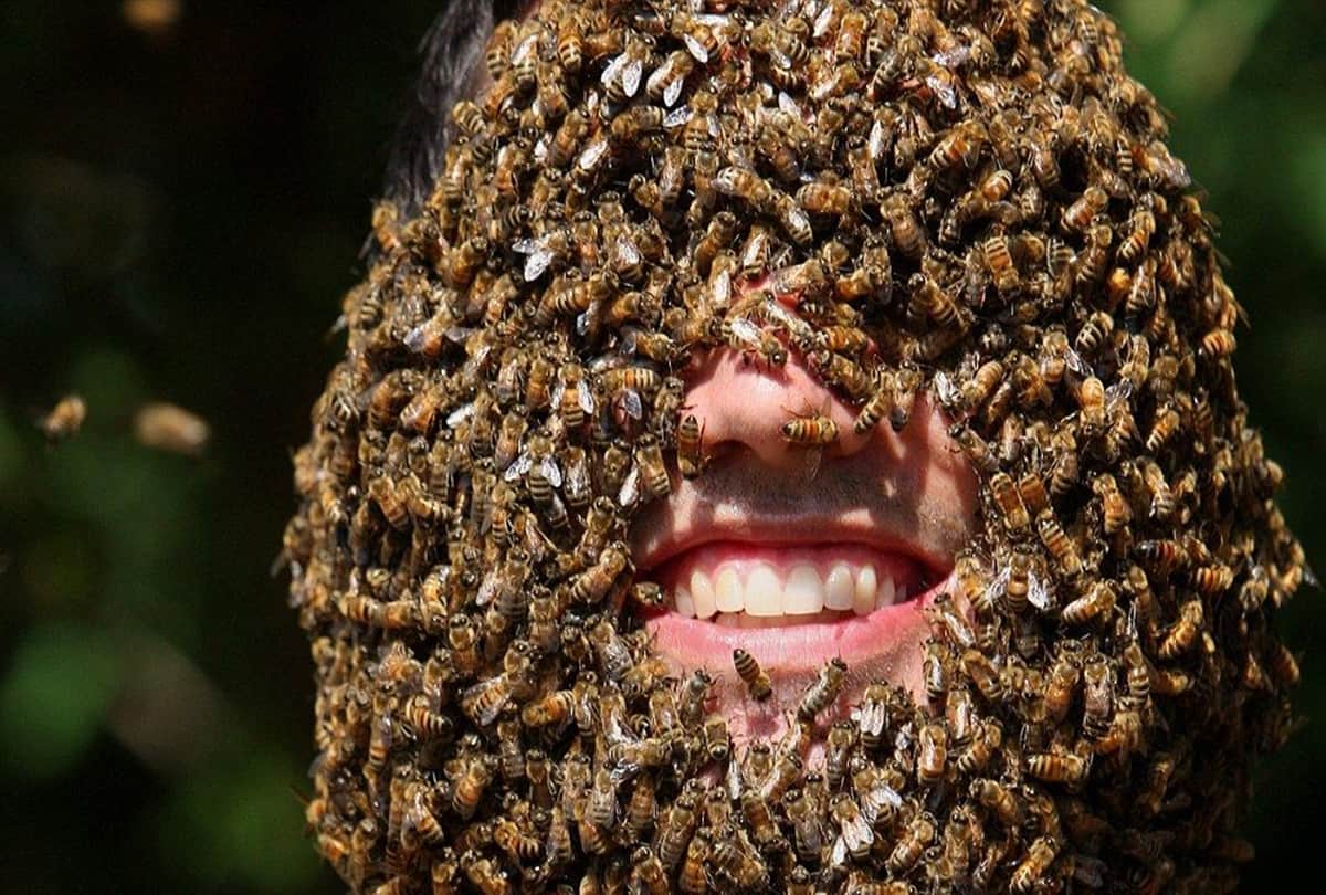 Competitive bee wearing: Wildest Competitions of china