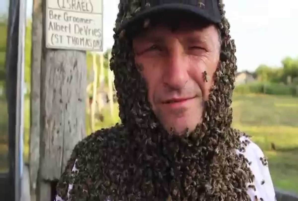 Competitive bee wearing: Wildest Competitions of china