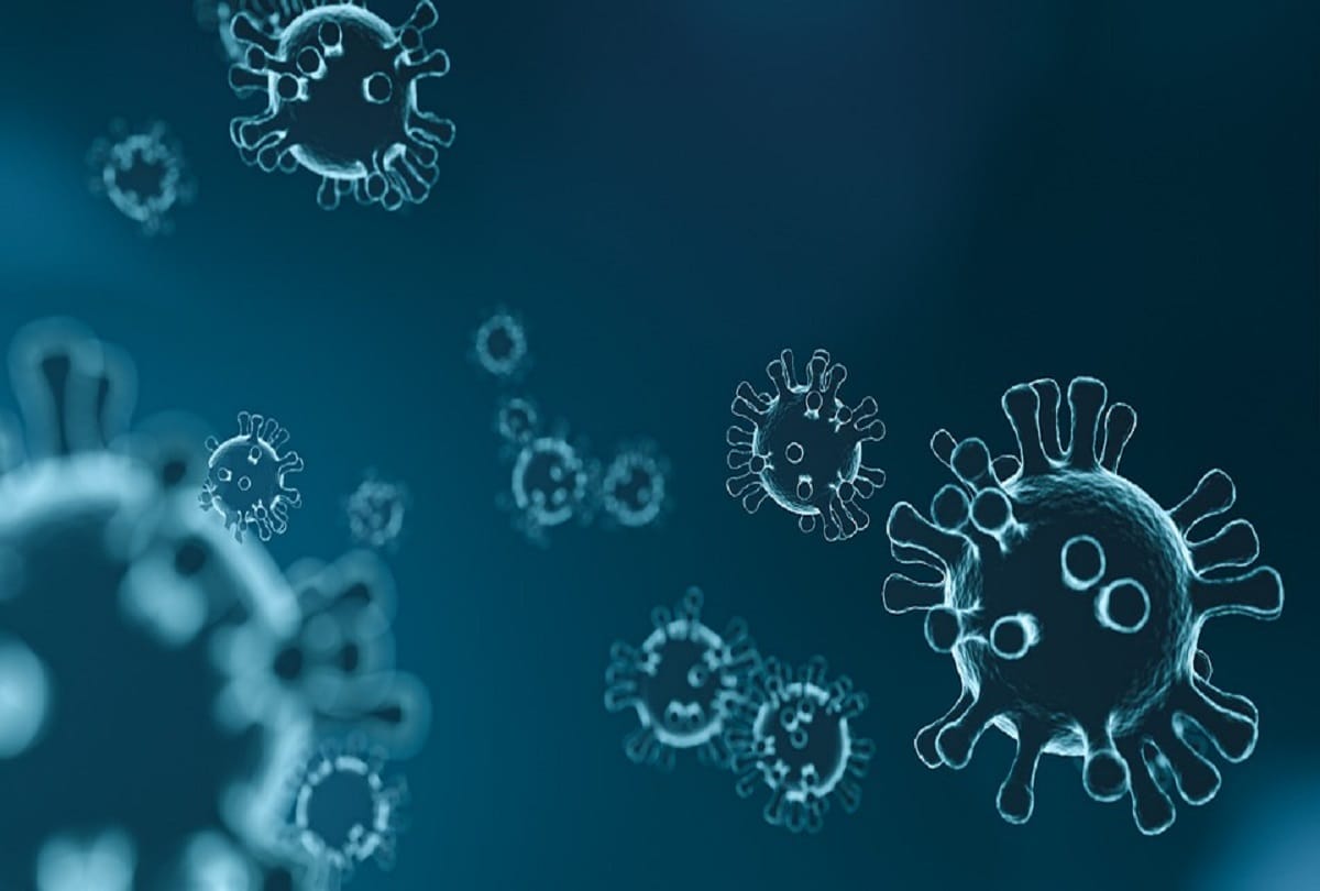 Coronavirus sero survey Whether or not corona infection will occur if antibodies are made in the body