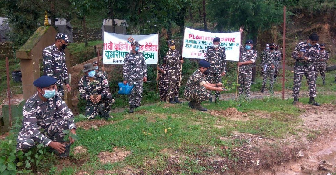 The soldiers resolved to protect the plants