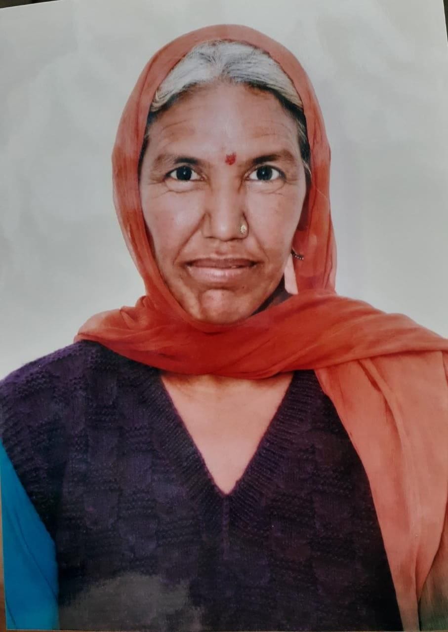 Mother's murder with sharp weapon