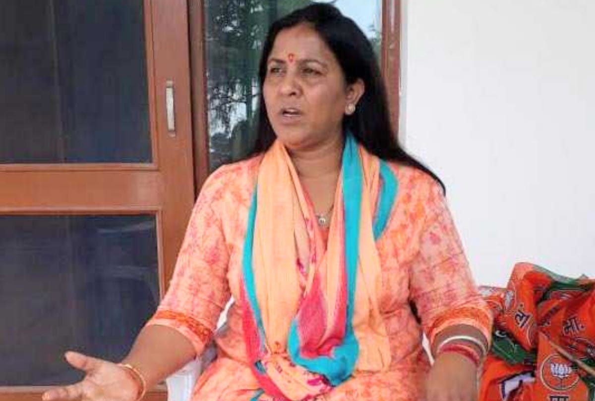 rajya sabha sansad indu goswami appointed as bjp mahila morcha rashtriya mahamantri