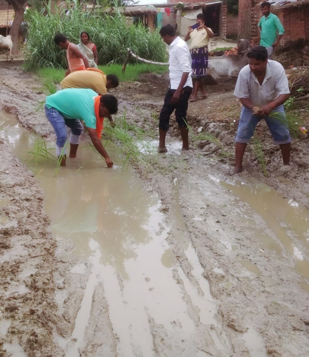 Transplanting