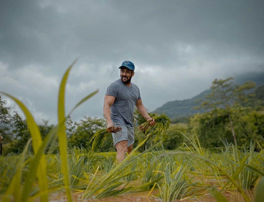 Salman Khan doing green farming in his Panvel farmhouse  said Jai jawan jai kisan