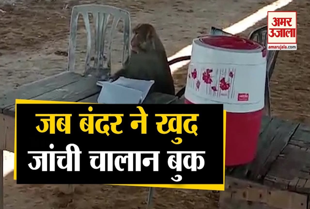 वायरल वीडियो