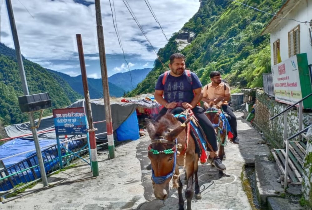 Char dham yatra 2020: in thirteen days ten thousand pass released for devotees