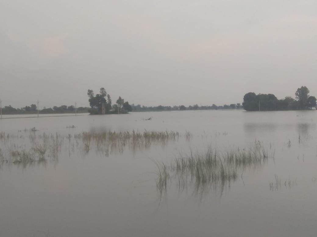 ghaghra river water level increase