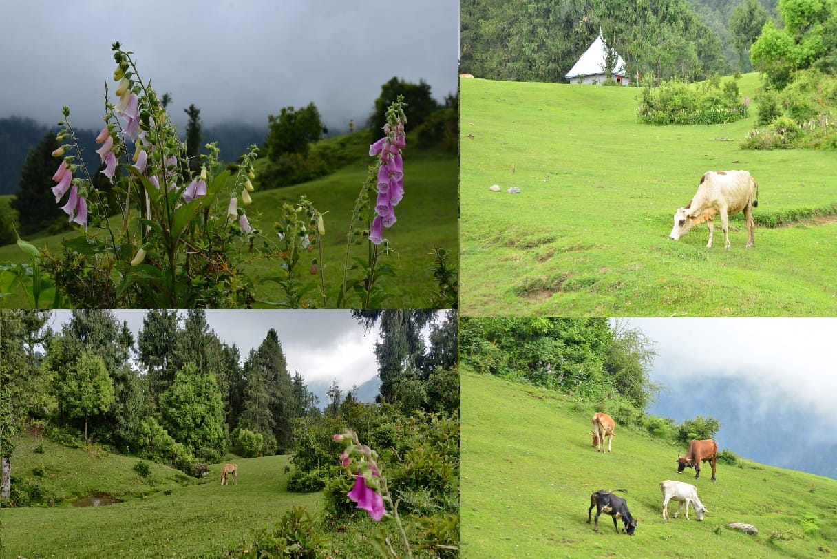 beautiful travelling places in the world, beautiful places in india and beautiful places in jammu kashmir
