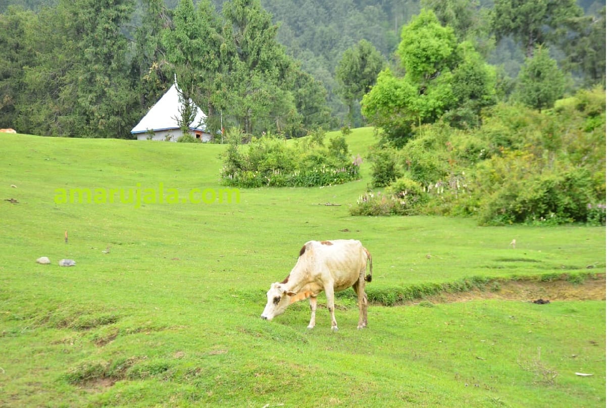 beautiful travelling places in the world, beautiful places in india and beautiful places in jammu kashmir