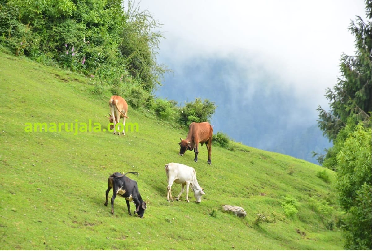 beautiful travelling places in the world, beautiful places in india and beautiful places in jammu kashmir