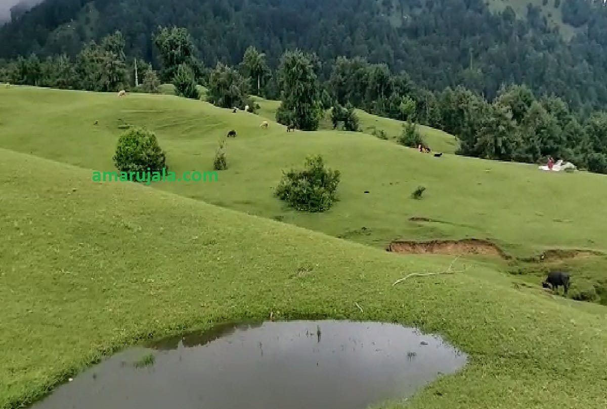Patnitop jammu kashmir, pay attention If you are planning to go Patnitop