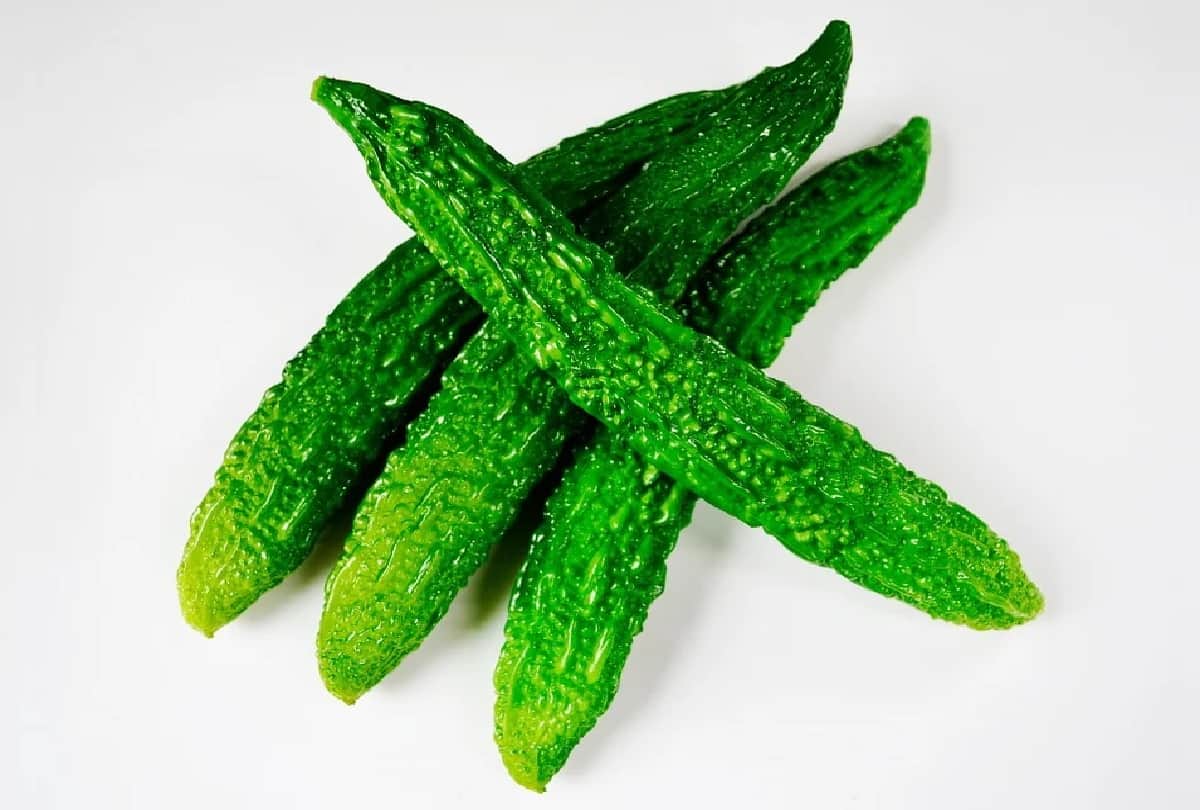 bitter gourd recipe south indian style bitter gourd seems bitter in food to make bitter gourd fry in south indian style the taste will not come out of the tongue