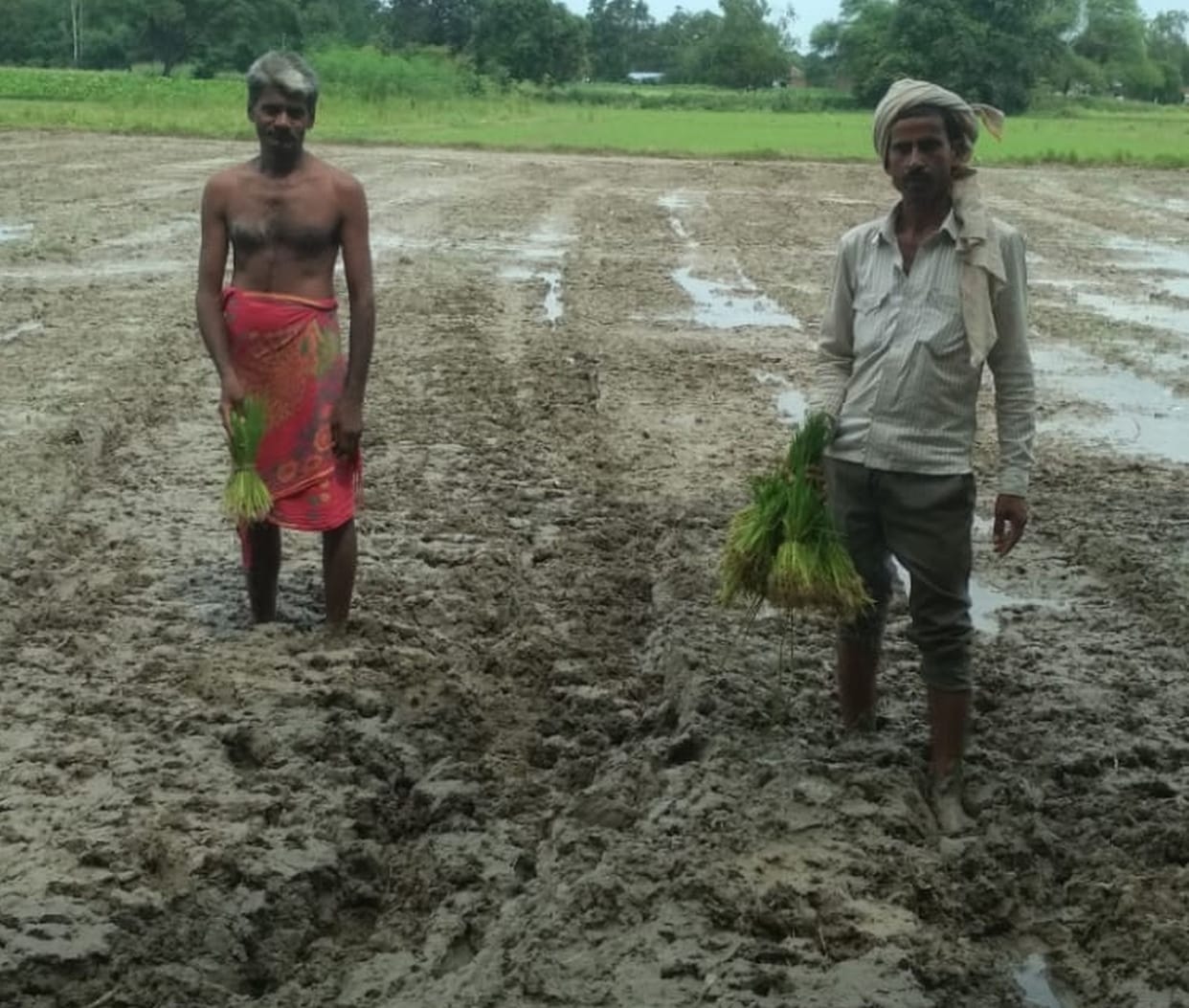 farming