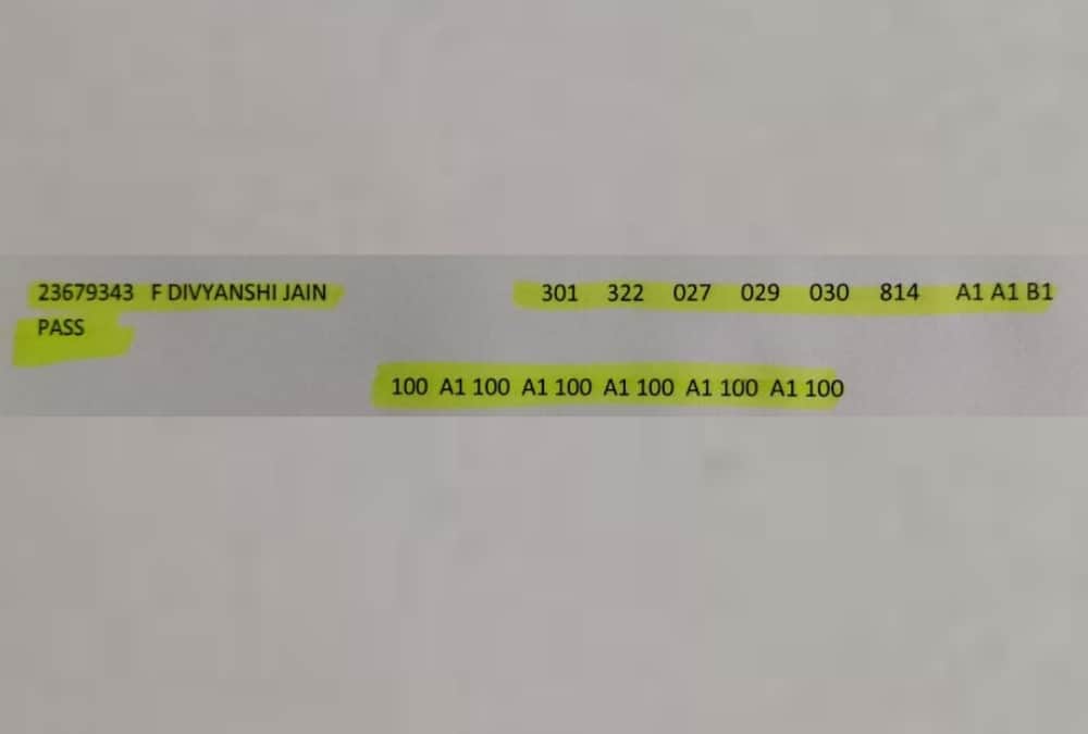 CBSE Results 2020: Divyanshi Jain creates history by getting 100 percent marks in.