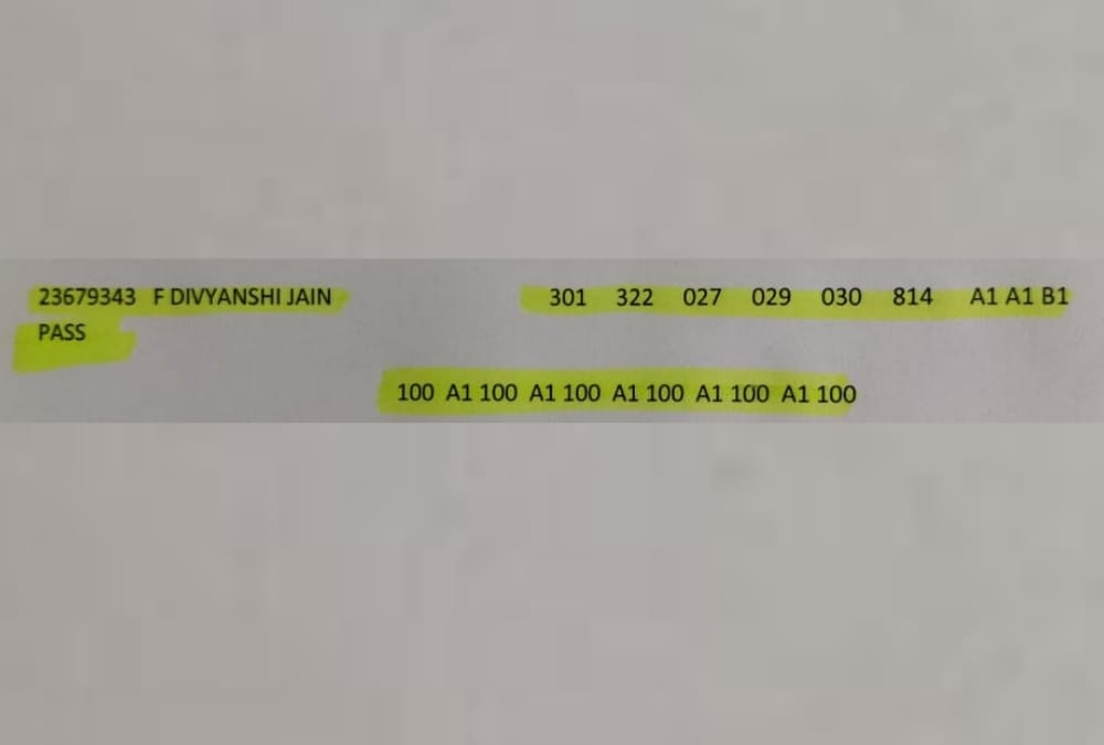 CBSE Results 2020: Divyanshi Jain creates history by getting 100 percent marks in.