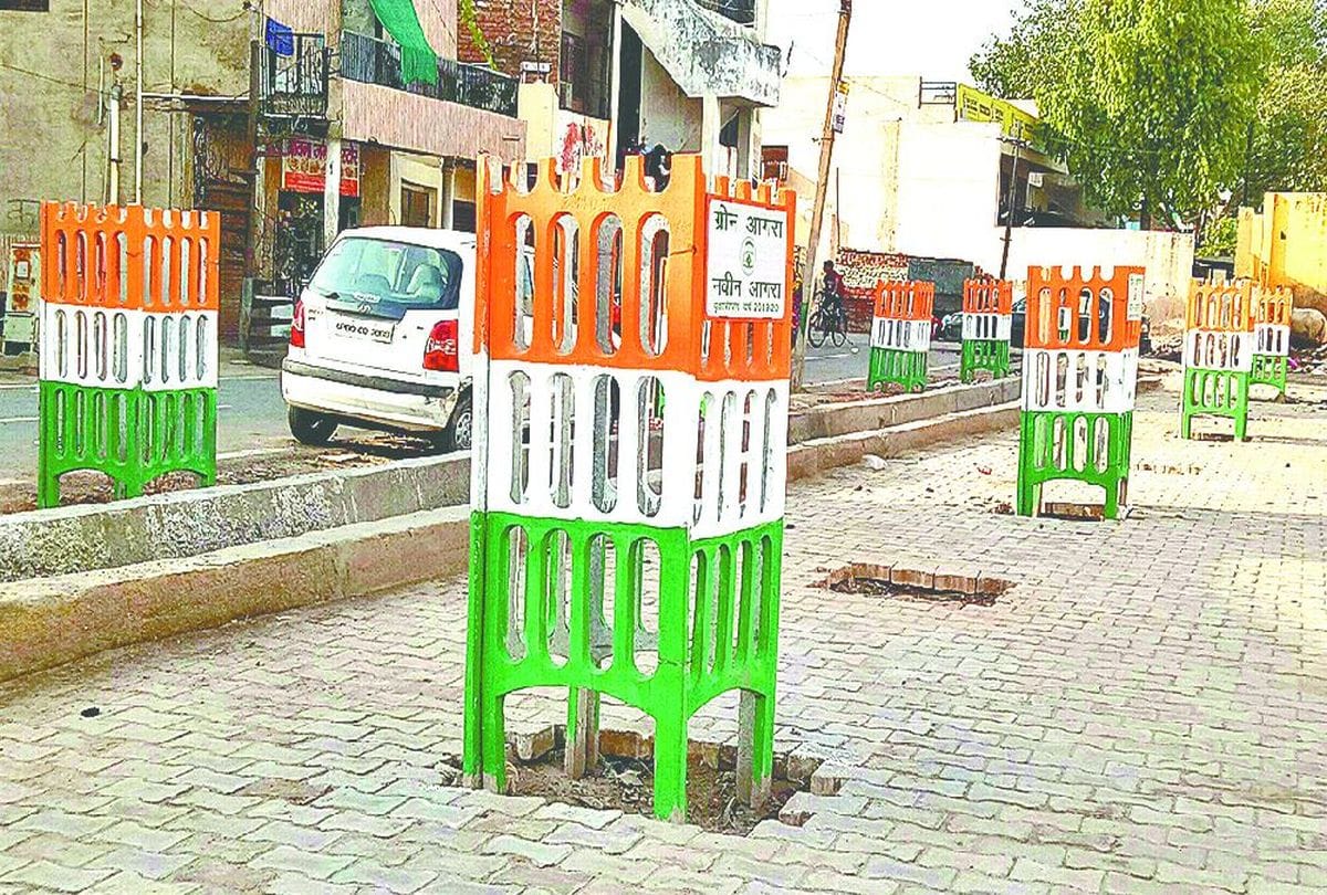 Amar Ujala Realty Check Of Plantation In Agra