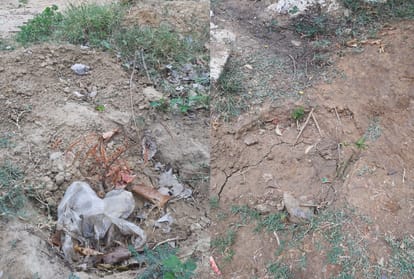 Amar Ujala Realty Check Of Plantation In Agra