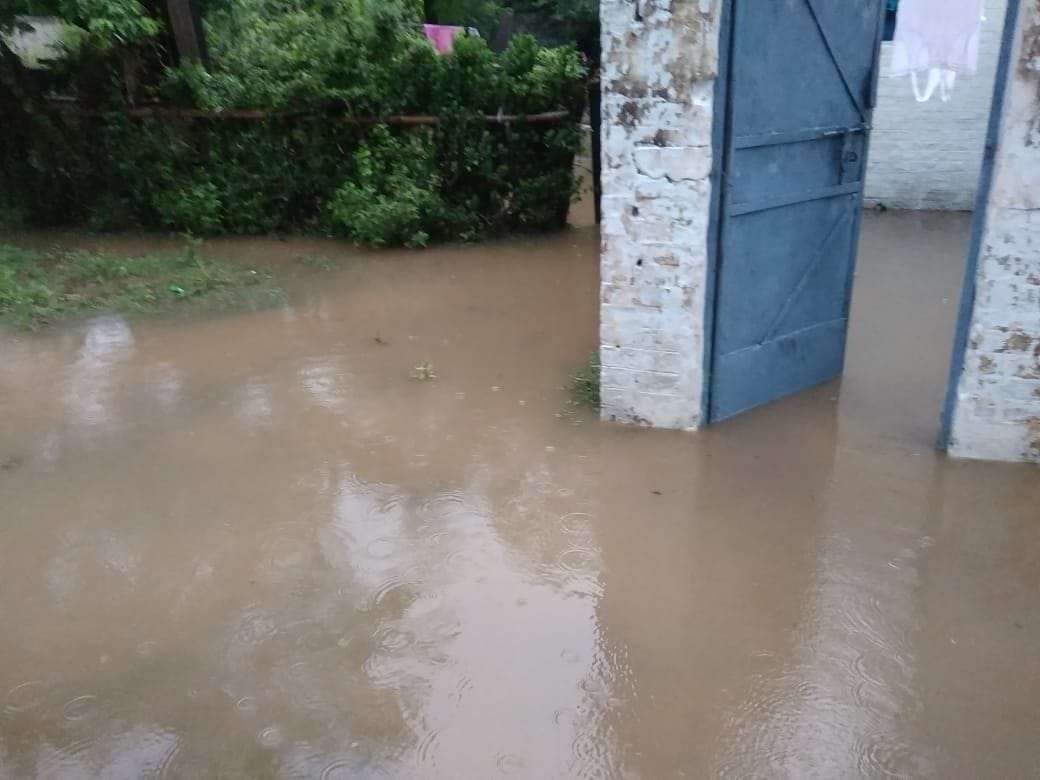 Rain