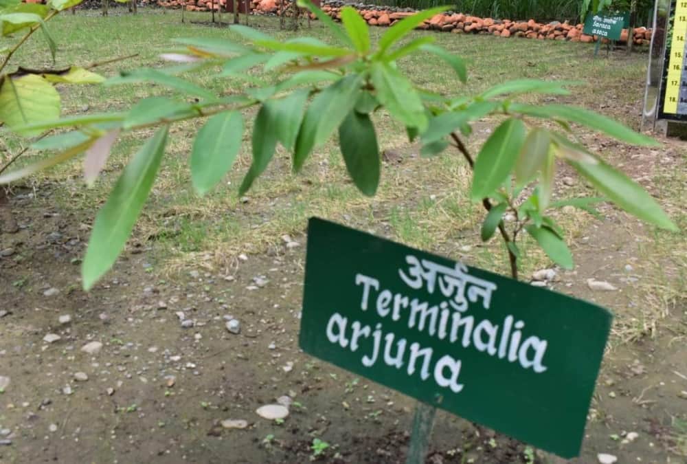 India first Ramayana Vatika will Establish in Haldwani Forest Research Center Uttarakhand