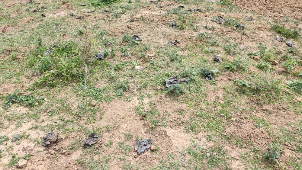 plant dried caused by lack of mantinence