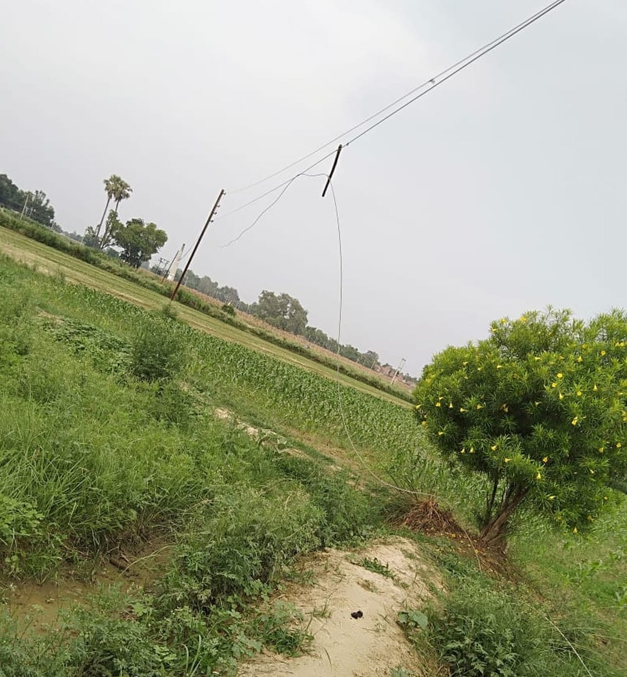 Farrukhabad: Youth dies due to electric current due to broken electric wire