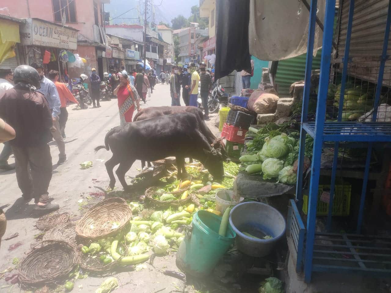 Uttarakhand: After girl child molestation in Joshimath, there was a lot of uproar, huge crowd gathered, shops closed
