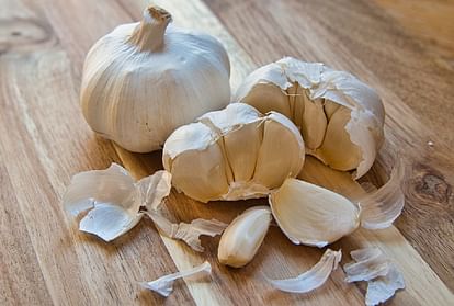 Health Benefits Of Garlic Excessive Consumption Side Effects Lahsun Ke  Fayde Nuksan - Amar Ujala Hindi News Live - सावधान:लहसुन का अधिक सेवन  पहुंचा सकता है सेहत को नुकसान, भूलकर भी न