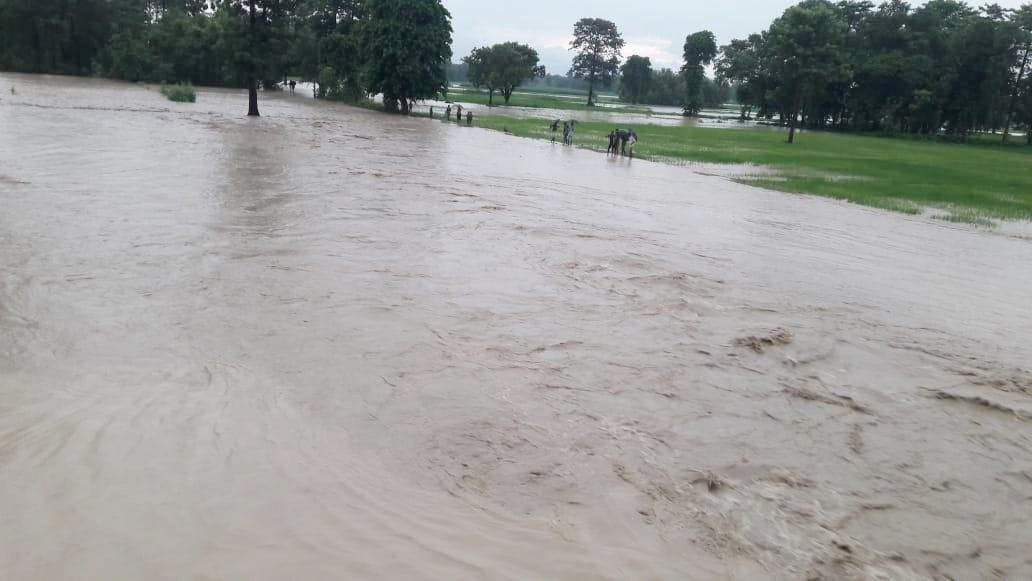 broken drain : 250 acres of crop dipped