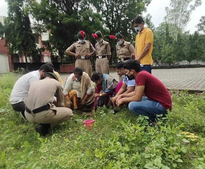 Plants planted in various schools under Harela festival