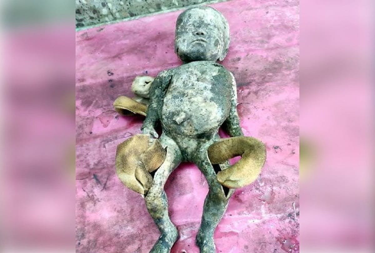 Post mortem was done of toy considering the body of a newborn in maharashtra buldhana